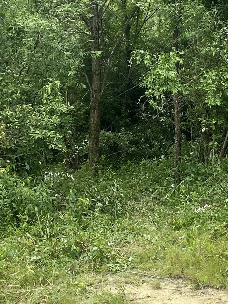 Top-rated lawn mowing service experts serving Morgantown, WV - MVP Maintenance