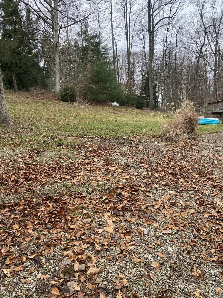 Expert garden landscaping experts serving Morgantown, WV - MVP Maintenance