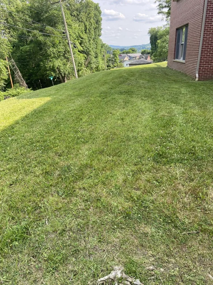Custom lawn care service in Morgantown, WV - MVP Maintenance