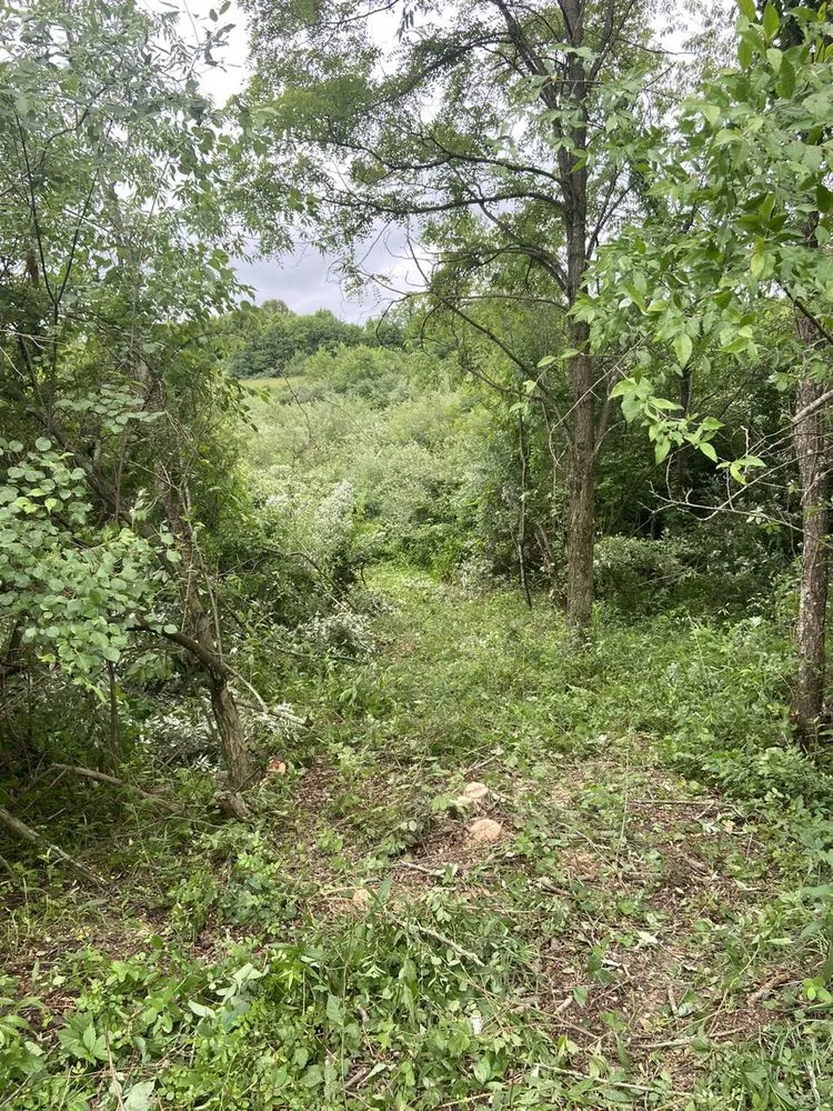 Reliable landscaping services for outdoor upgrades across Morgantown, WV - MVP Maintenance