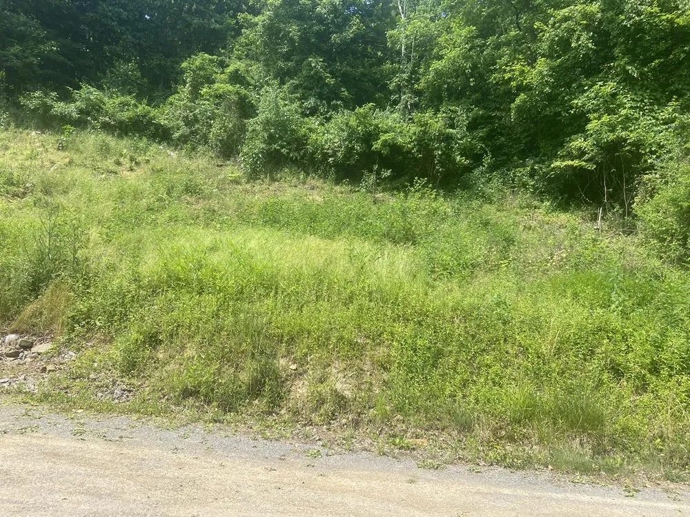 Local garden landscaping for homes across Morgantown, WV - MVP Maintenance