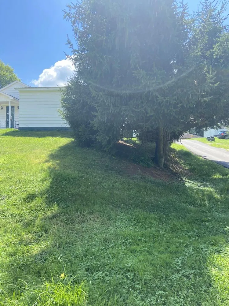 Expert garden landscaping for outdoor upgrades across Morgantown, WV - MVP Maintenance