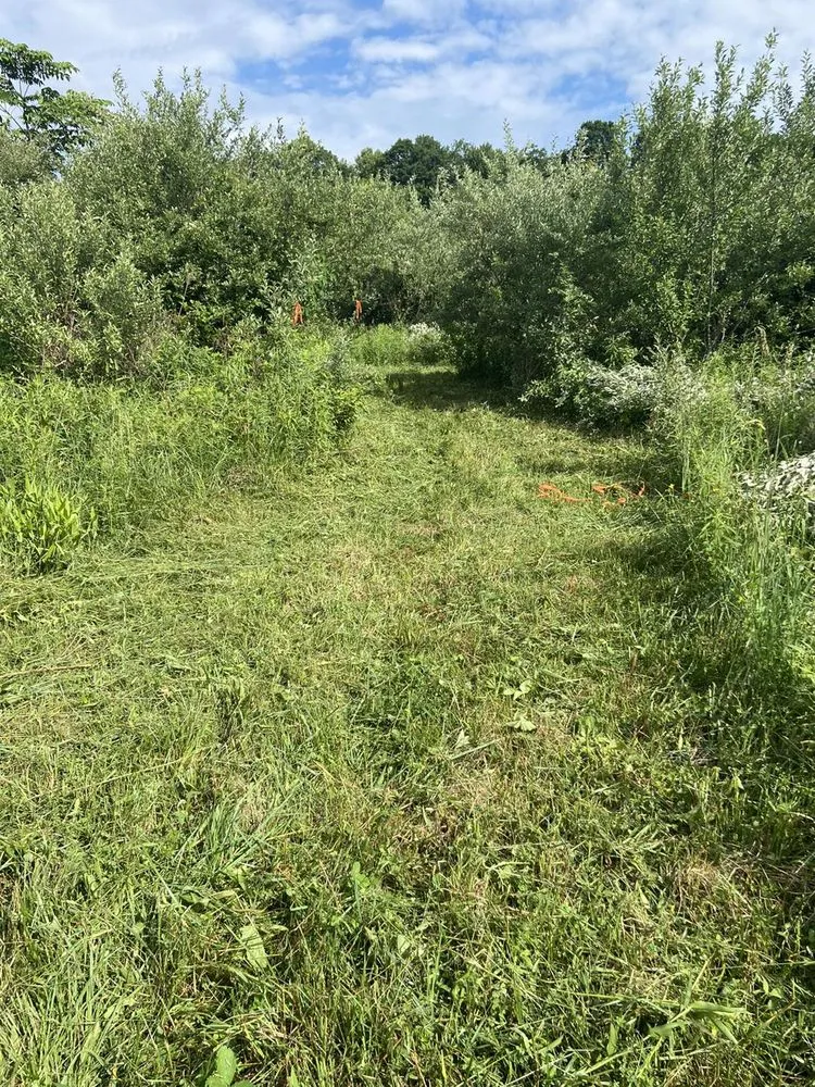 Trusted lawn mowing service in Morgantown, WV - MVP Maintenance