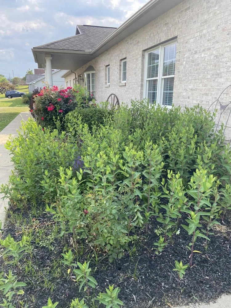 Professional landscaping services in Morgantown, WV - MVP Maintenance