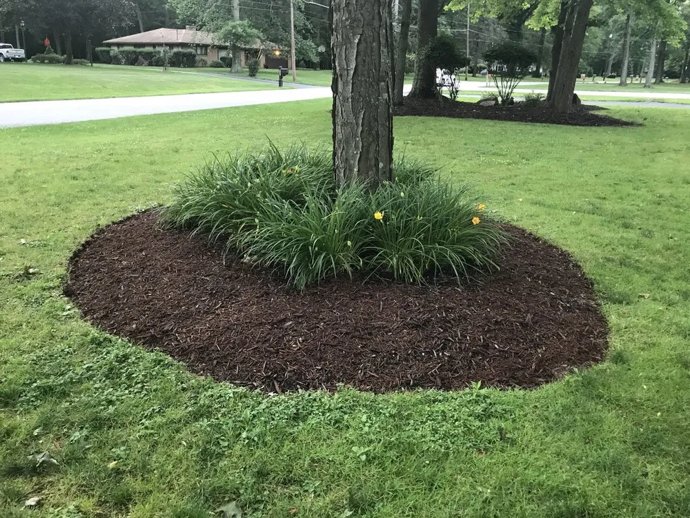 Local yard cleanup service near you in Poland, OH by MVP Property Maintenance