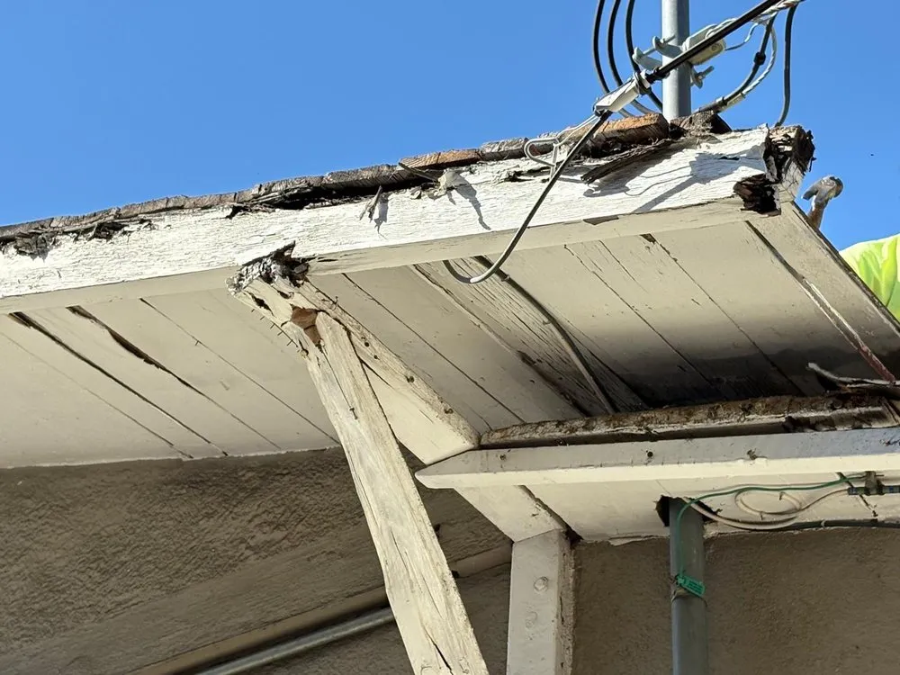 Local lawn mowing service in Encino, CA by MVP Remodeling