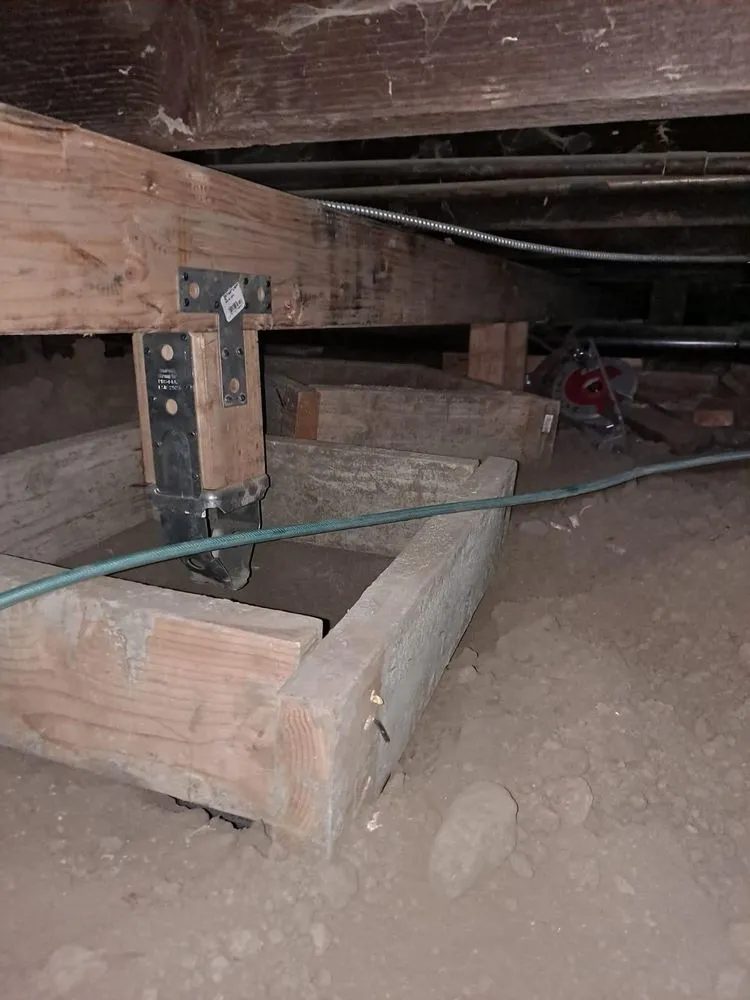 Trusted lawn care service in Encino, CA - MVP Remodeling