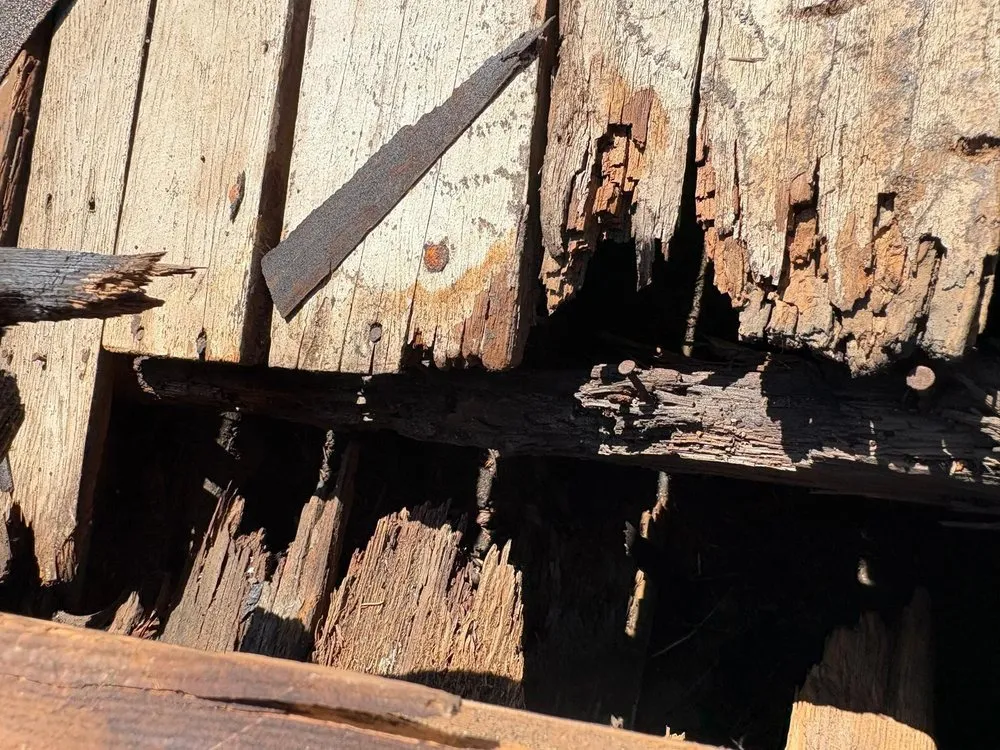 Trusted residential landscaping for outdoor upgrades across Encino, CA - MVP Remodeling