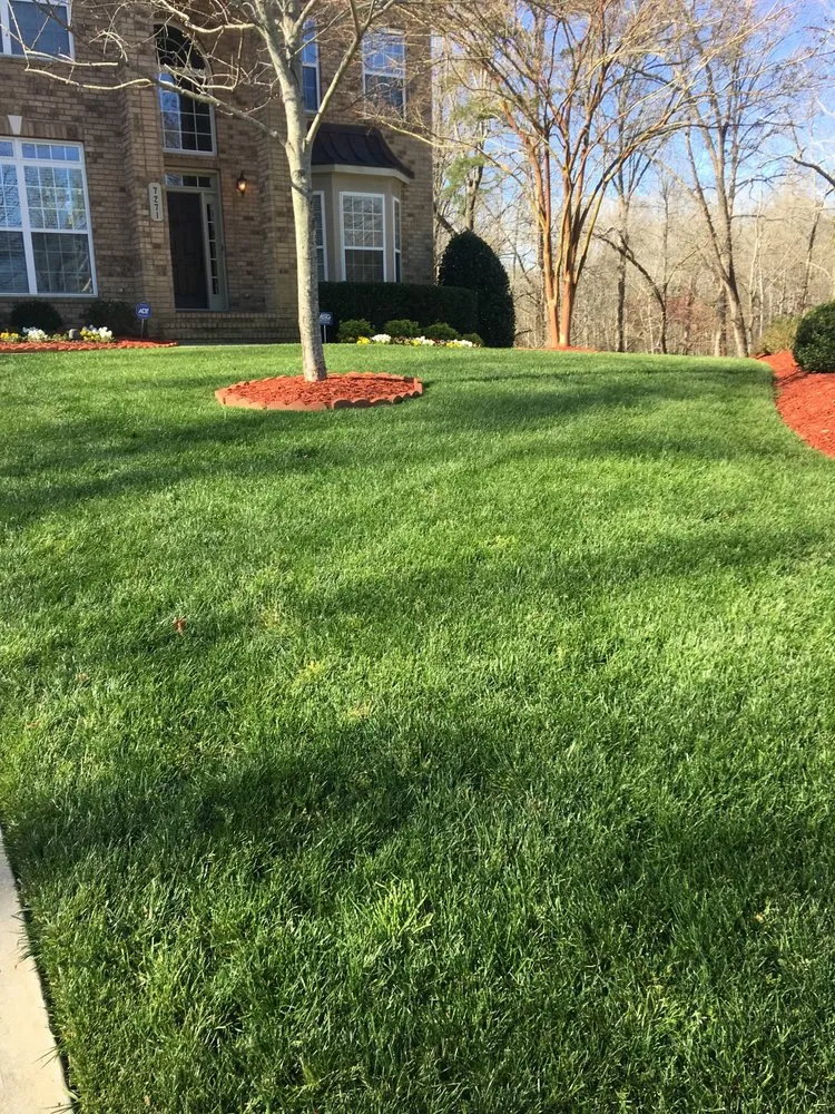 Affordable yard cleanup service for outdoor upgrades across Gastonia, NC - MVR Group