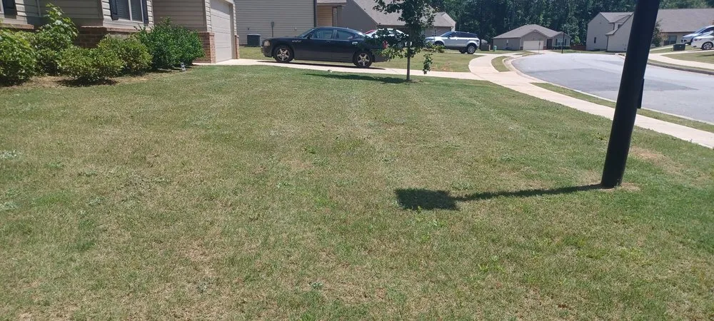 Top-rated landscape installation in Stockbridge, GA by MW Blades Lawn Care