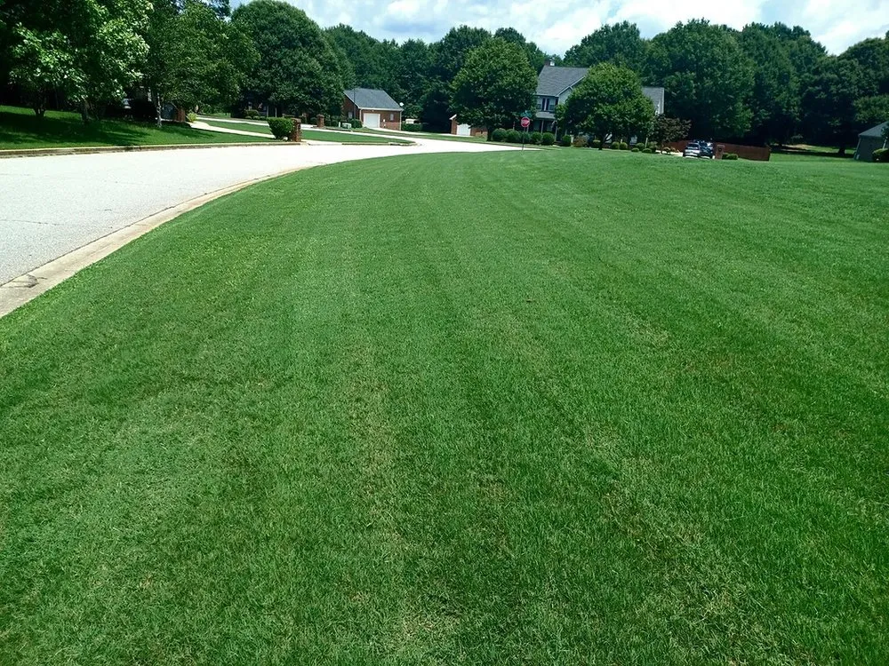 Professional landscaping services for outdoor upgrades in Stockbridge, GA by MW Blades Lawn Care