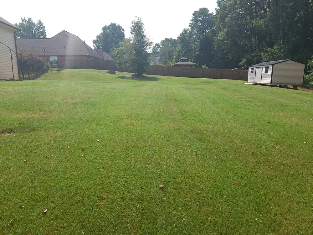 Professional yard maintenance in Stockbridge, GA by MW Blades Lawn Care