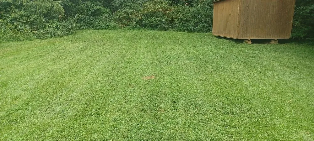 Trusted yard maintenance in Stockbridge, GA by MW Blades Lawn Care