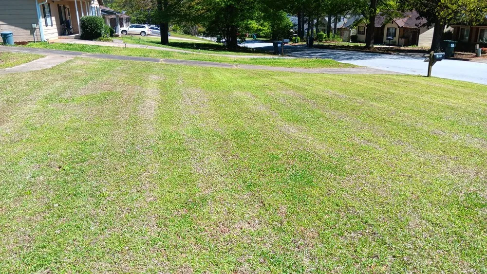 Affordable outdoor landscaping in Stockbridge, GA by MW Blades Lawn Care