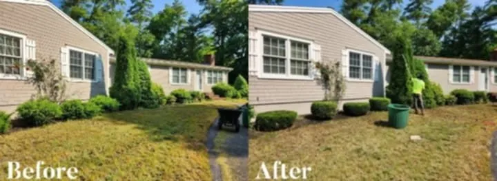 Local lawn care service for homes across East Bridgewater, MA - MW Guest Property Services