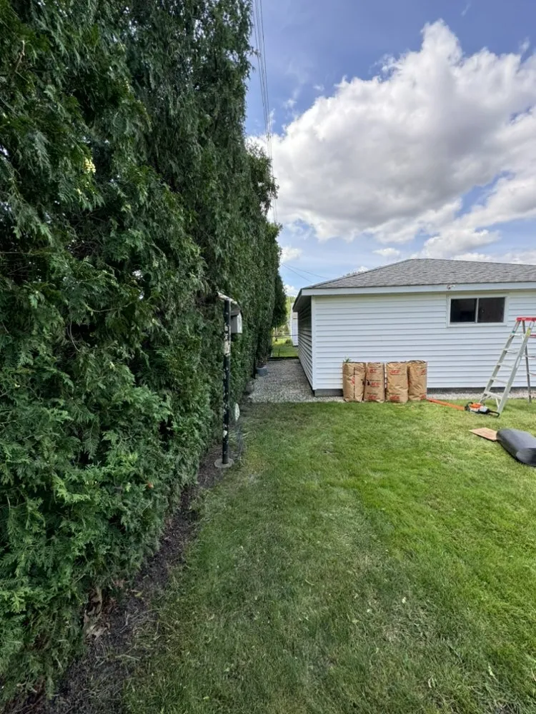 Top-rated outdoor landscaping for residential properties across Madison Heights, MI - MW Hedge Trimming
