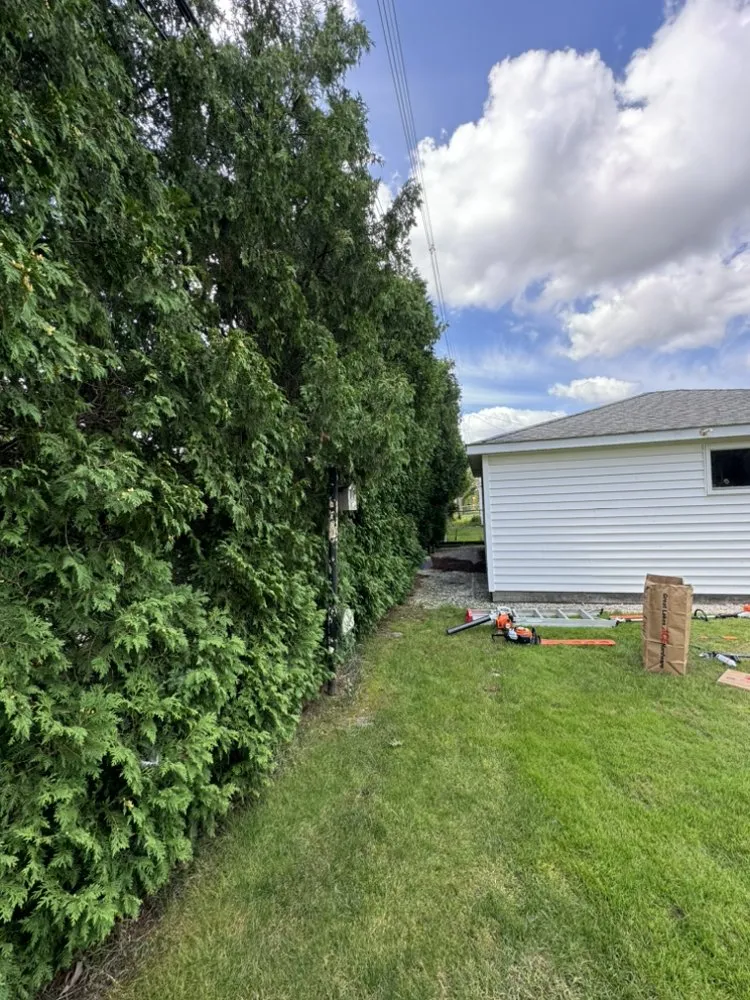 Custom landscape design for beautiful yards in Madison Heights, MI by MW Hedge Trimming