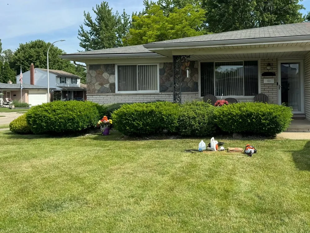 Affordable landscaping services for outdoor upgrades across Madison Heights, MI - MW Hedge Trimming