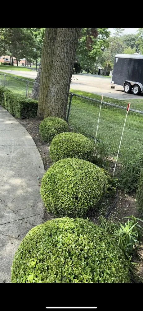 Trusted landscape installation for residential properties across Madison Heights, MI - MW Hedge Trimming