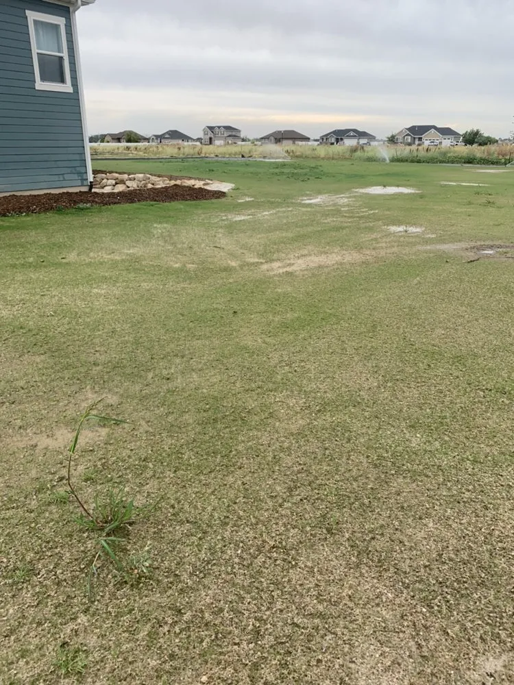 Local yard cleanup service in Clearfield, UT - MW Landscape & Irrigation