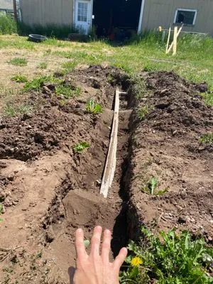 MW Landscape & Irrigation