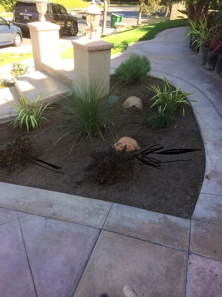 Top-rated lawn mowing service in Tustin, CA by MW Landscape