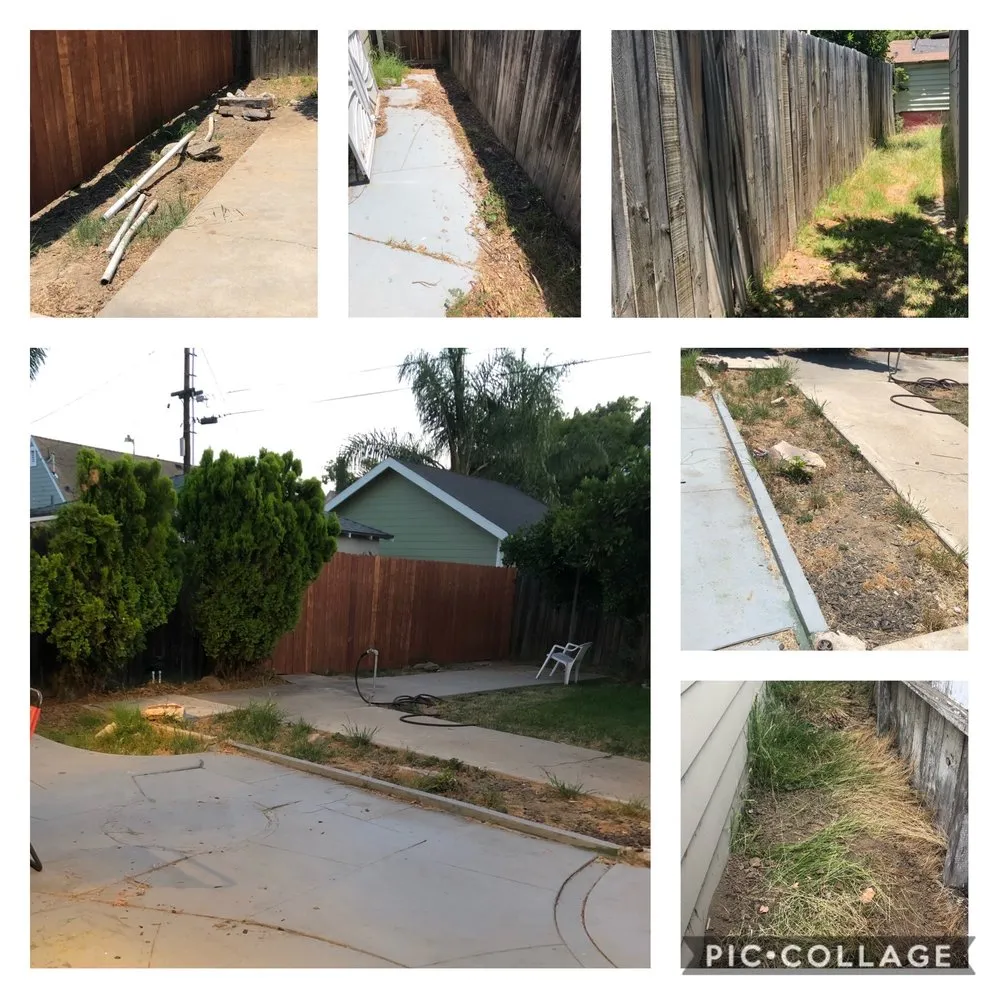 Affordable lawn care service in Tustin, CA - MW Landscape