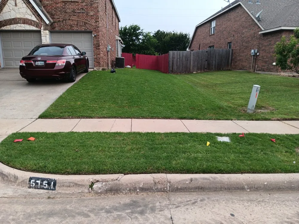 Reliable yard cleanup service experts serving Dallas, TX - MW Landscaping