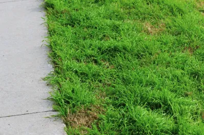 Local garden landscaping near you across Houston, TX - MW landscaping