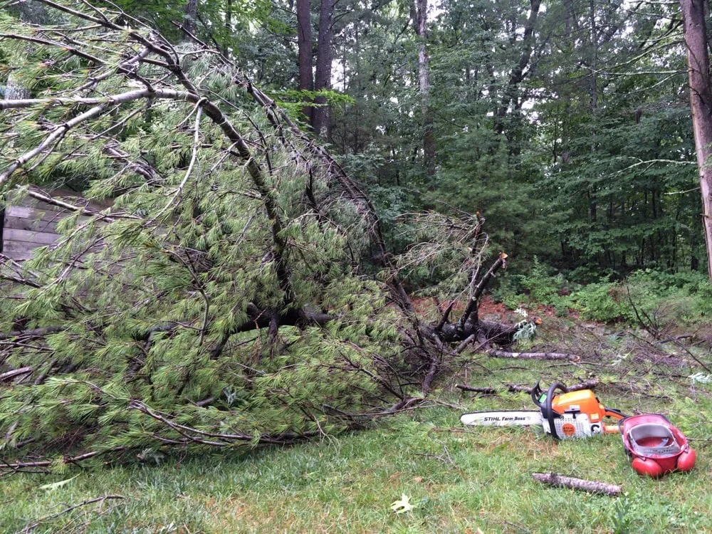 Local residential landscaping in Boxford, MA - MW Landscaping, LLC