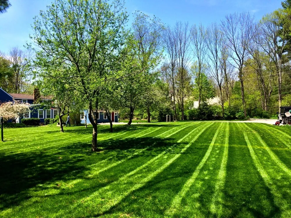 Expert landscaping services experts serving Boxford, MA - MW Landscaping, LLC