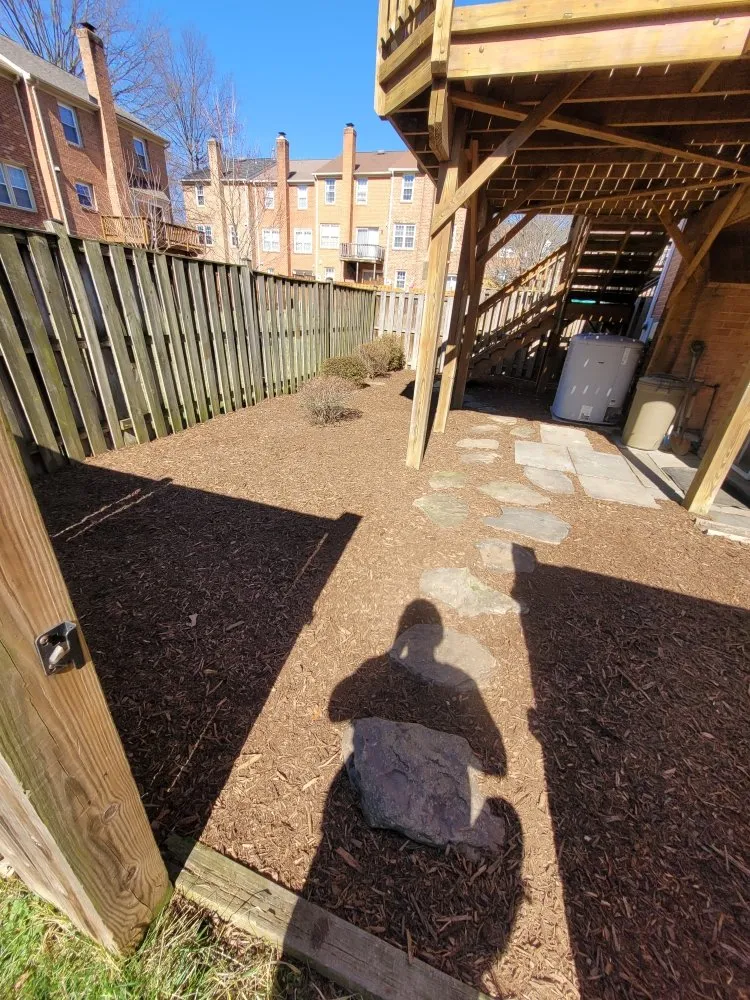 Custom yard cleanup service for outdoor upgrades in Springfield, VA by M&W Landscaping