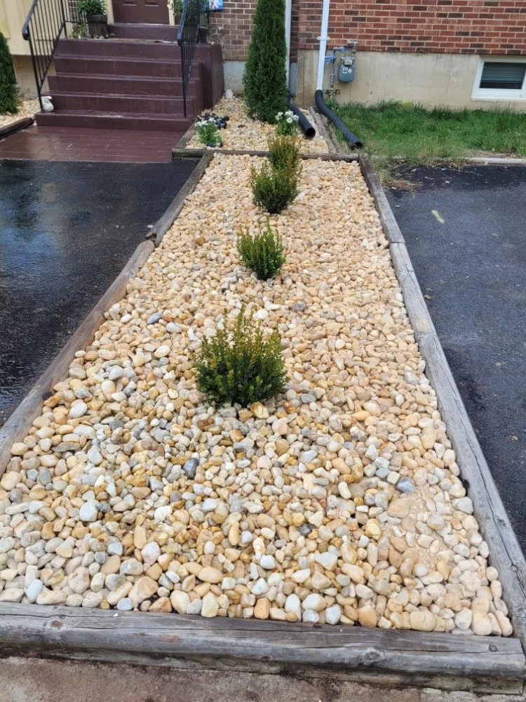 Affordable yard maintenance for year-round maintenance across Springfield, VA - M&W Landscaping