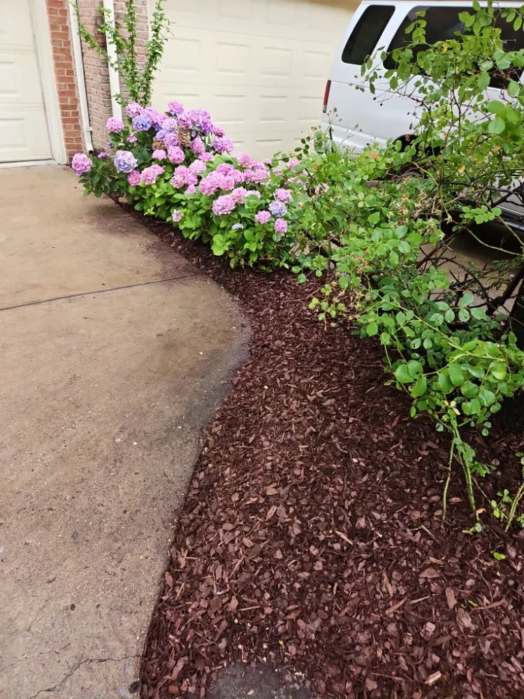 Reliable yard cleanup service in Springfield, VA by M&W Landscaping