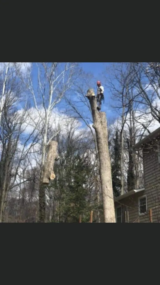 Top-rated lawn care service in Springfield, VA - M&W Landscaping