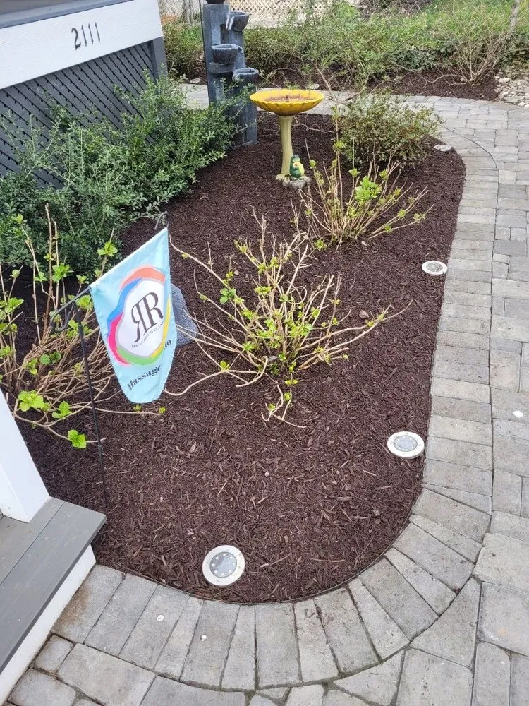 Reliable yard cleanup service experts serving Springfield, VA - M&W Landscaping