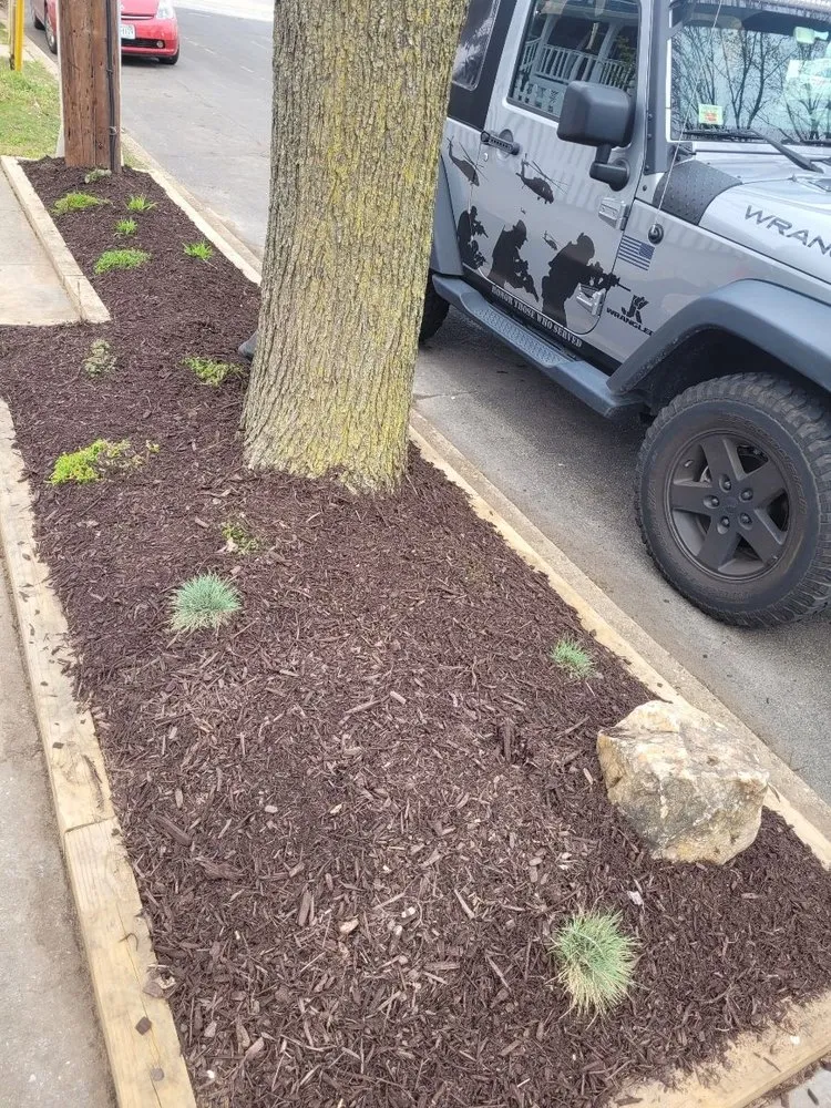 Custom outdoor landscaping for year-round maintenance across Springfield, VA - M&W Landscaping