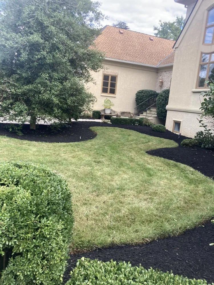 Professional yard cleanup service for year-round maintenance across Springfield, VA - M&W Landscaping