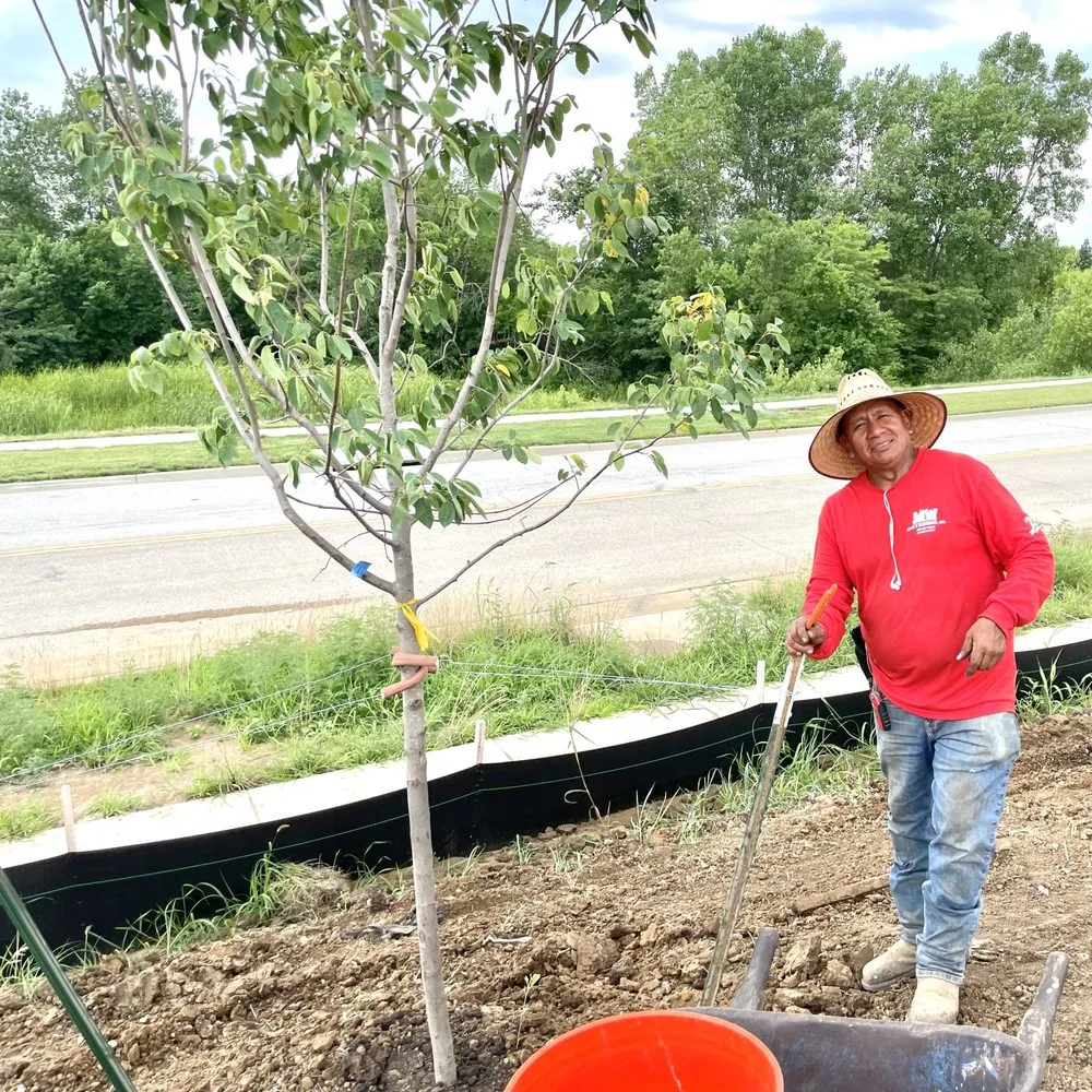 Professional lawn mowing service in Olathe, KS by MW Lawn & Landscape