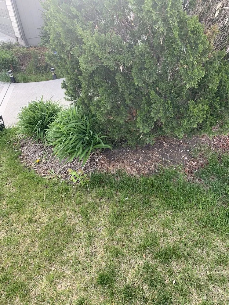 Trusted lawn care service experts serving Olathe, KS - MW Lawn & Landscape