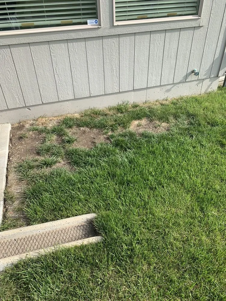 Reliable outdoor landscaping experts serving Olathe, KS - MW Lawn & Landscape