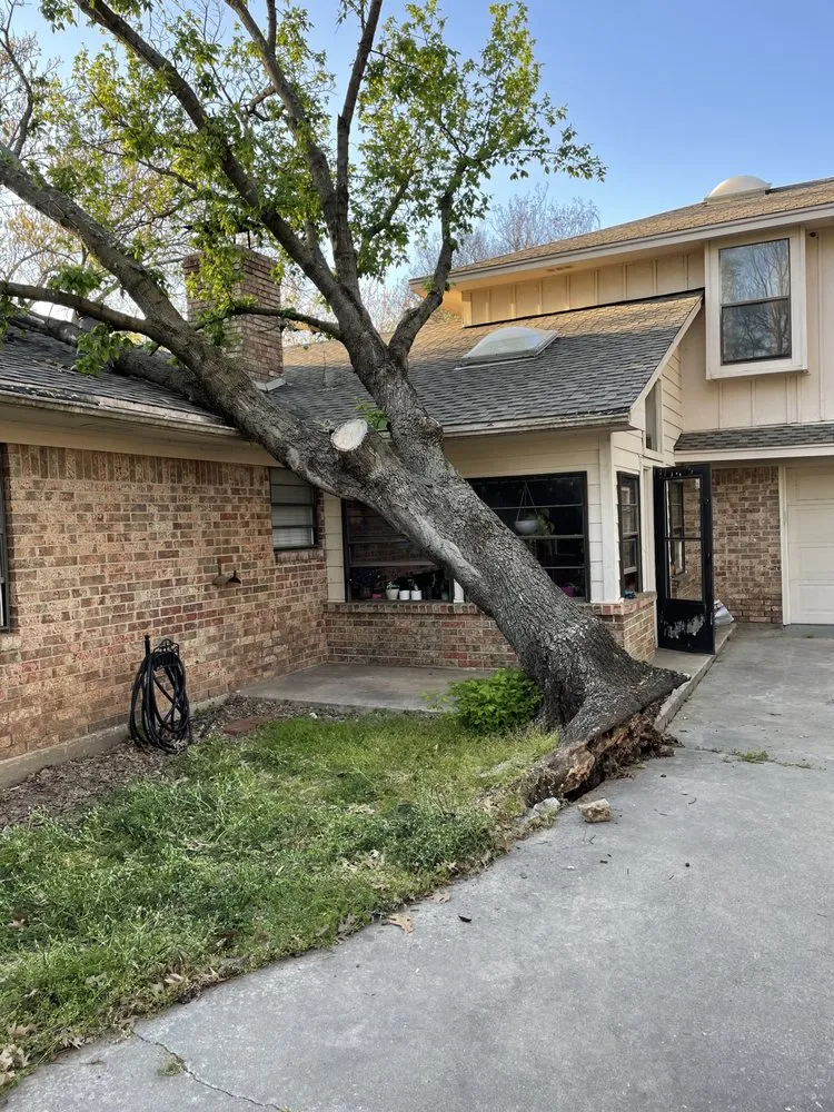 Reliable residential landscaping experts serving Gainesville, TX - Mw Services