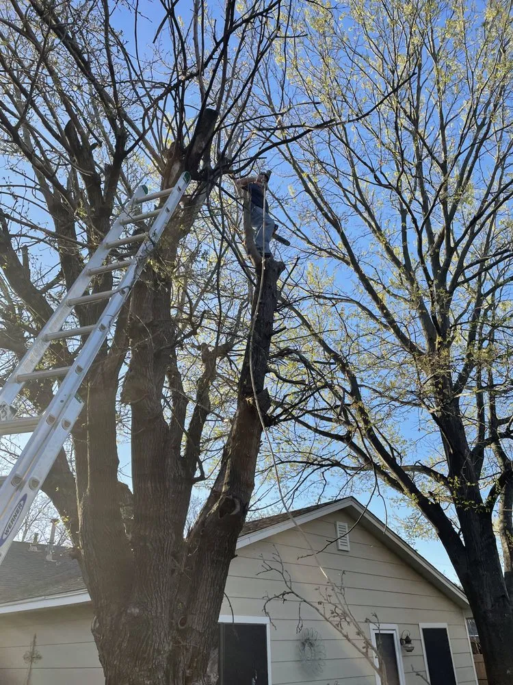 Trusted outdoor landscaping experts serving Gainesville, TX - Mw Services