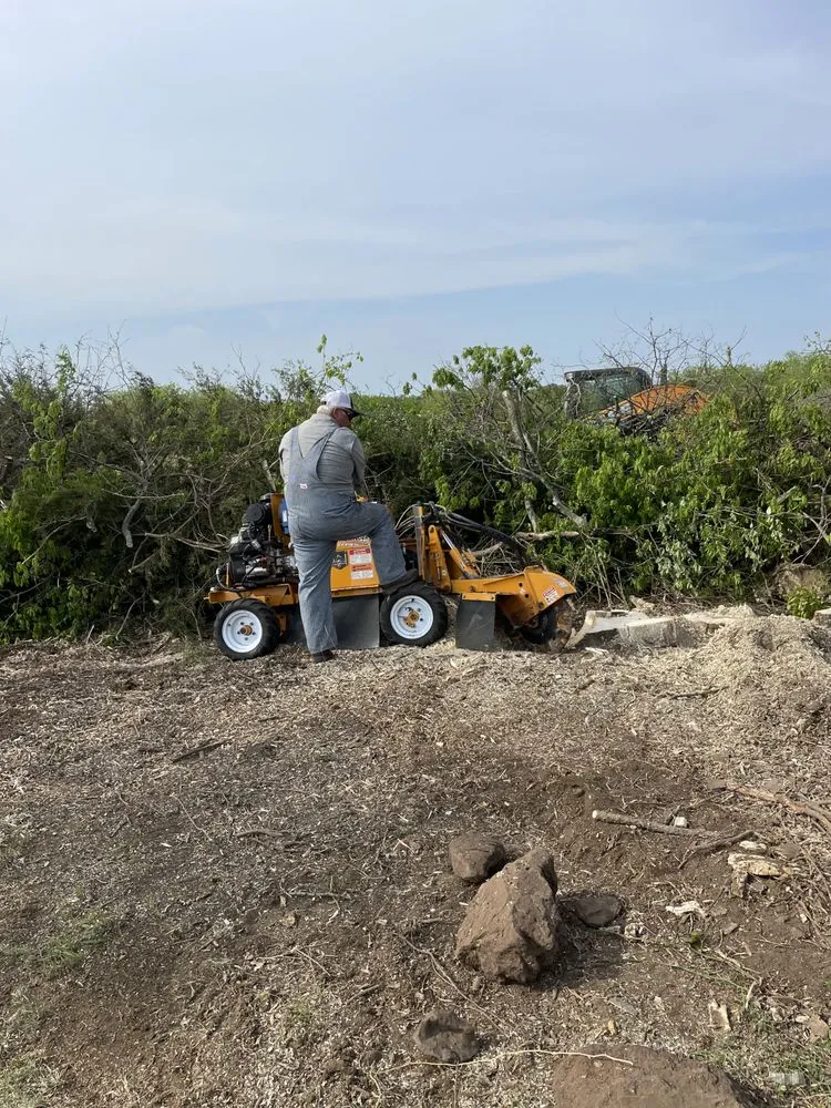 Trusted outdoor landscaping experts serving Gainesville, TX - Mw Services