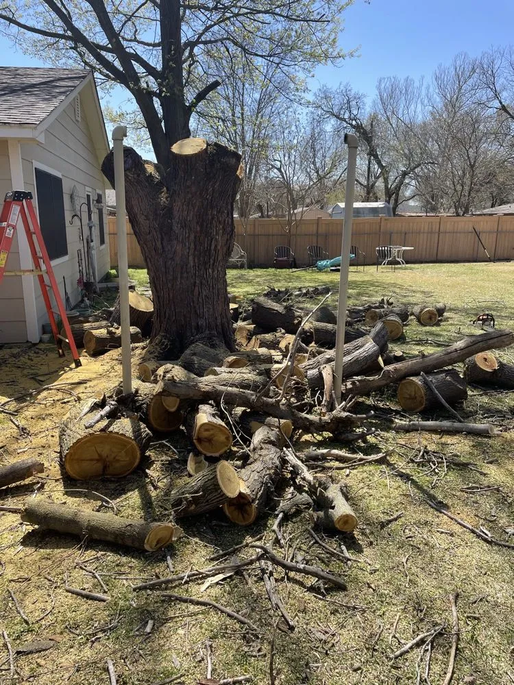 Custom yard maintenance in Gainesville, TX by Mw Services