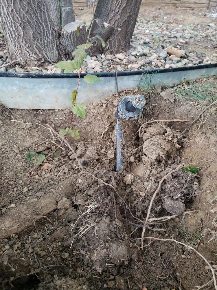 Reliable yard cleanup service experts serving Centennial, CO - MW Sprinkler and Lawn Care