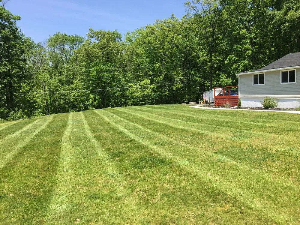 Expert yard cleanup service for homes in Washington, NJ by MW Weaver & Son