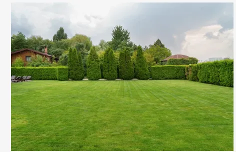 Expert lawn care service experts serving Benbrook, TX - Mwa Lawn Care