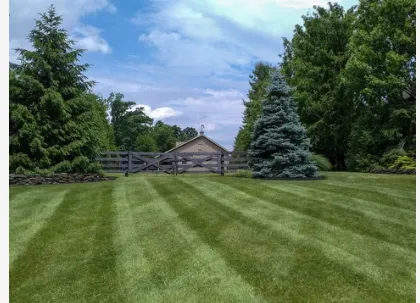 Local lawn care service in Benbrook, TX - Mwa Lawn Care