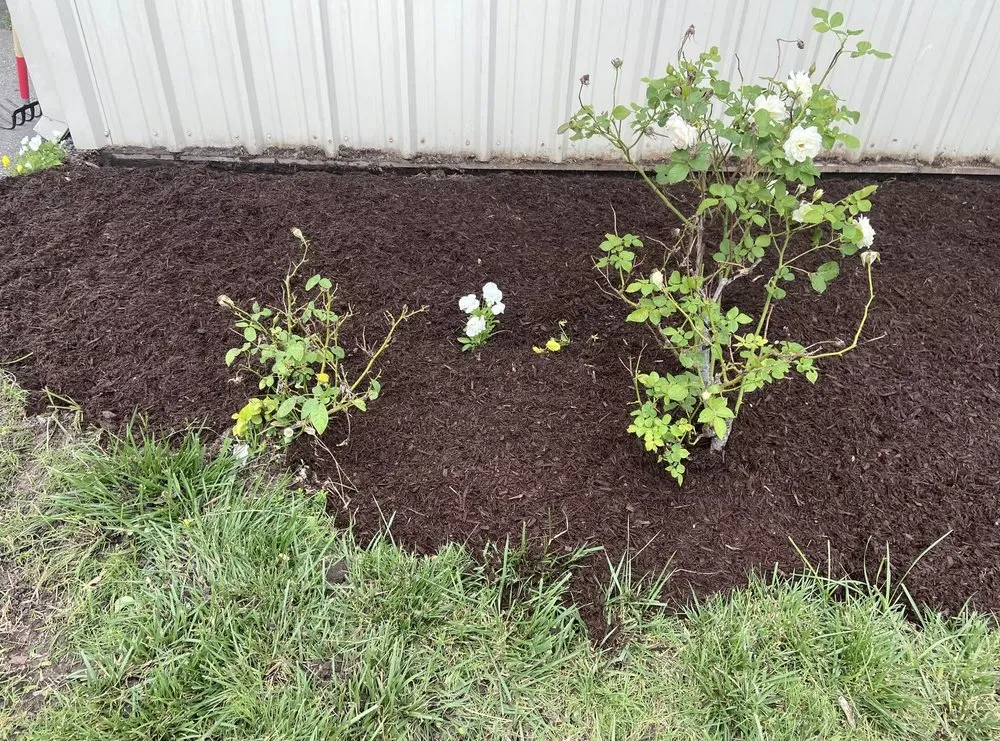 Trusted outdoor landscaping experts serving Chesapeake, VA - M.W.Cutting Edge Lawn-Care